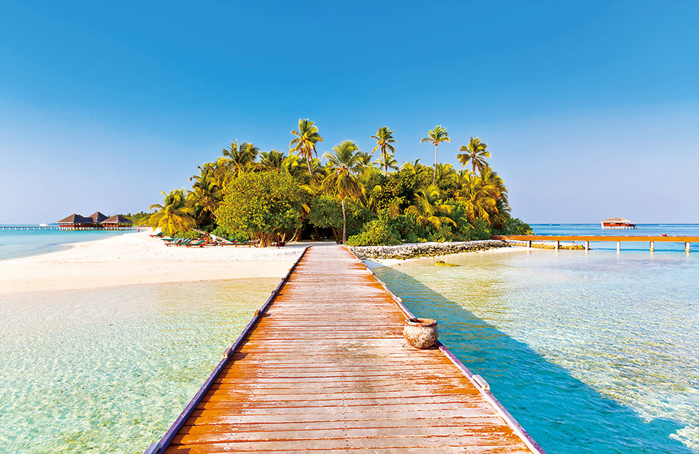 中国·885566威尼斯(股份)有限公司-官方网站