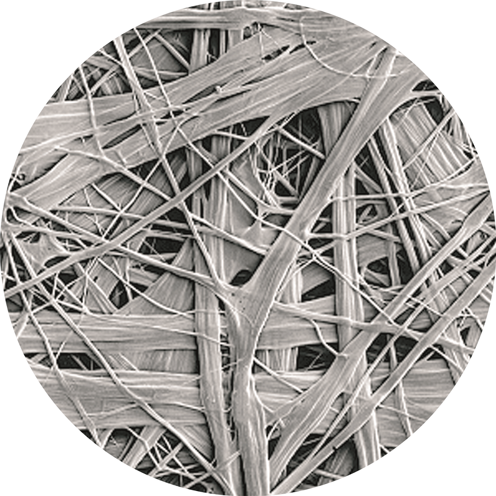 中国·885566威尼斯(股份)有限公司-官方网站