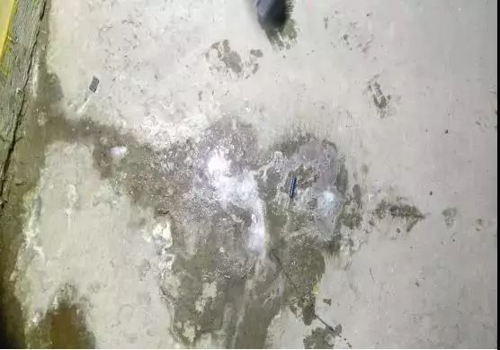 中国·885566威尼斯(股份)有限公司-官方网站