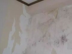 中国·885566威尼斯(股份)有限公司-官方网站