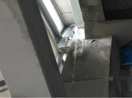 中国·885566威尼斯(股份)有限公司-官方网站