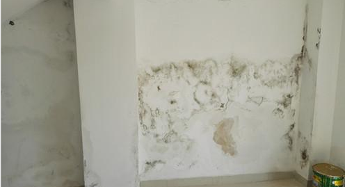 中国·885566威尼斯(股份)有限公司-官方网站