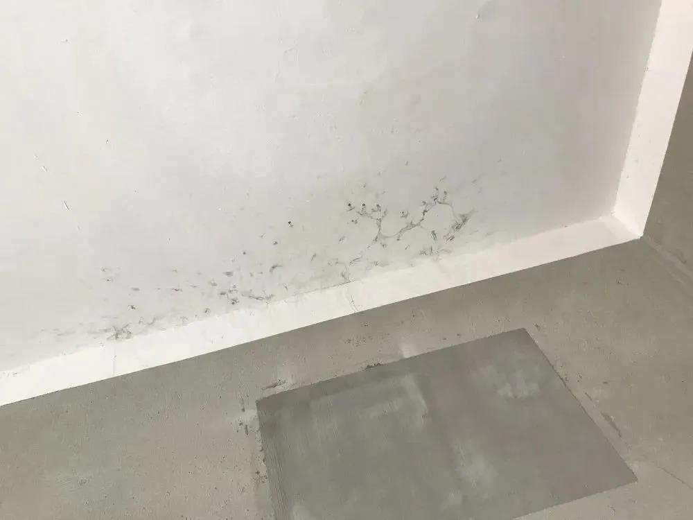 中国·885566威尼斯(股份)有限公司-官方网站