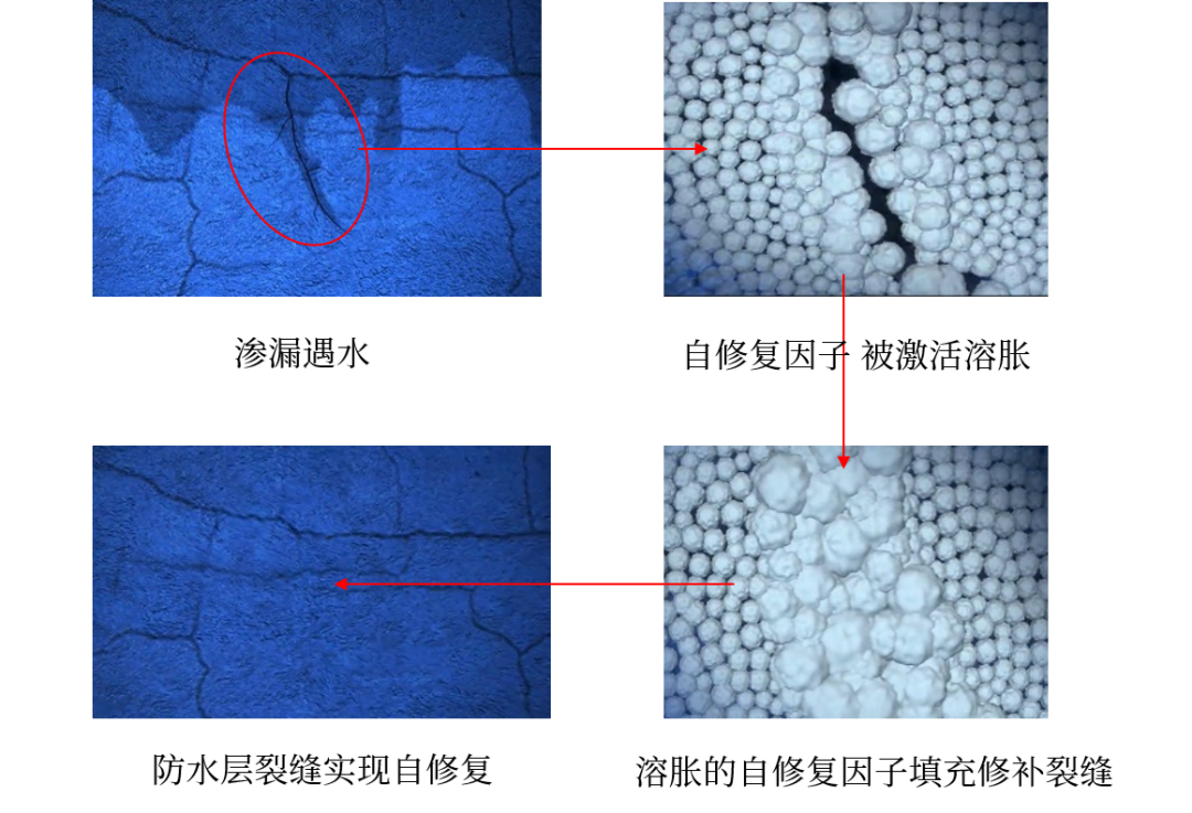 中国·885566威尼斯(股份)有限公司-官方网站
